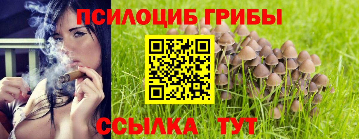 Кандалакша  Псилоцибиновые грибы ЛСД  Вход с VPN 